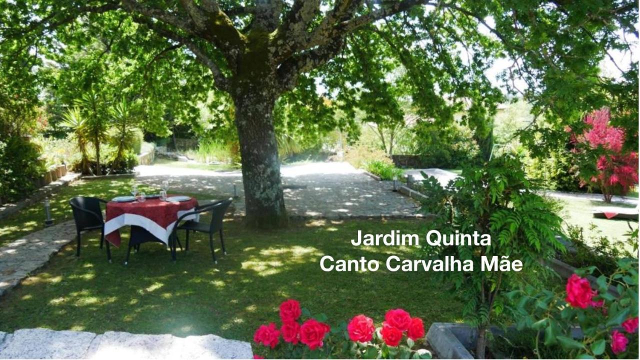 شقة فيزيو  في Quinta Monteluz المظهر الخارجي الصورة